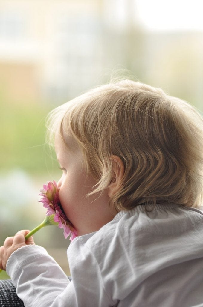 toddler mindfulness - toddler smelling a flower and gazing into the distance mindfully